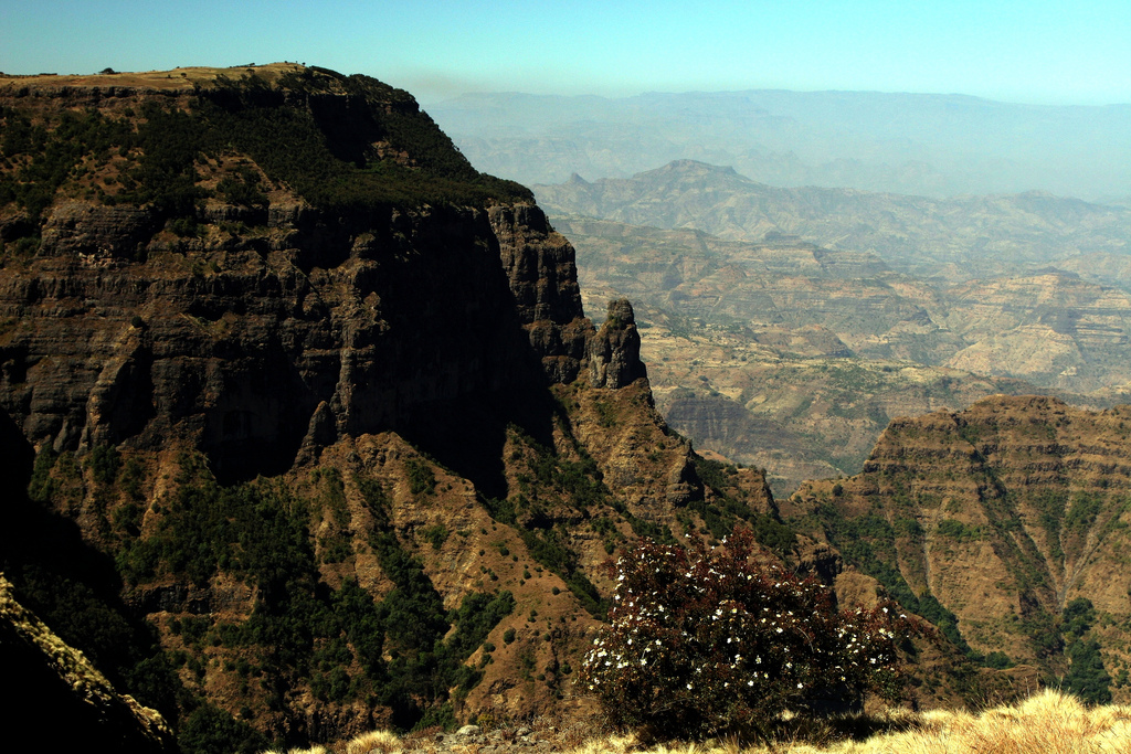 Восточное плоскогорье африки. Эфиопское Нагорье. Эфиопское Нагорье Африка. Рельеф Эфиопии. Эфиопское Нагорье растительность.